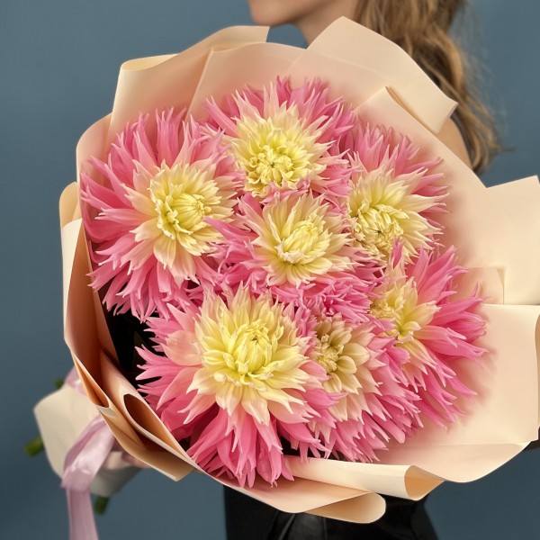 7 розово-желтых игольчатых георгин Джаст Меррид